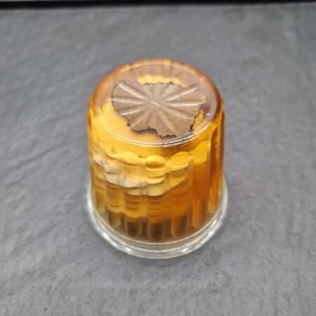 Aspic mousse de foie truffé – pièce