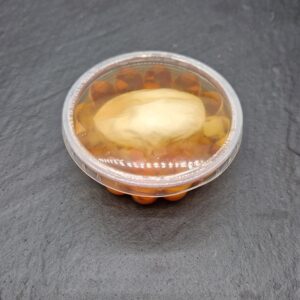 Aspic aux oeufs – pièce