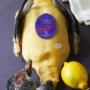 Canette de Bresse « Excellence »